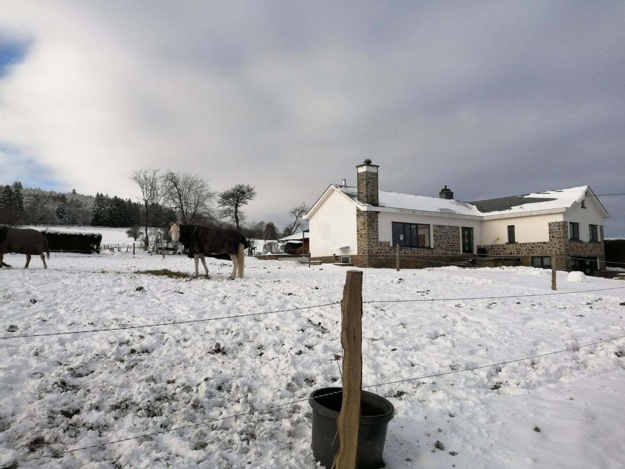 Sophisticated Holiday Home In Lierneux Near Forest Kültér fotó